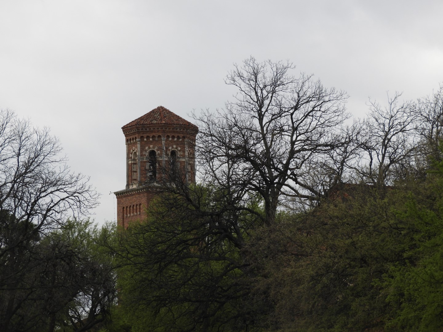 Midwestern State University TX 2 of  7 (#6758)