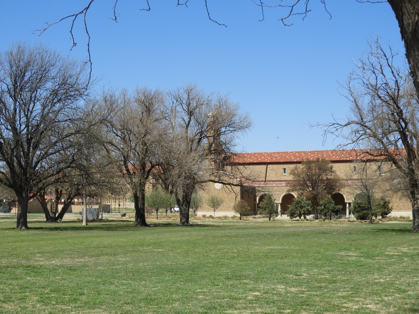 Texas Tech University TX 3 of  3 (#6769)