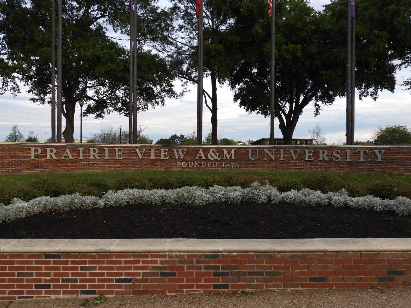 Prairie View A&M  1 of  3 (#6784)