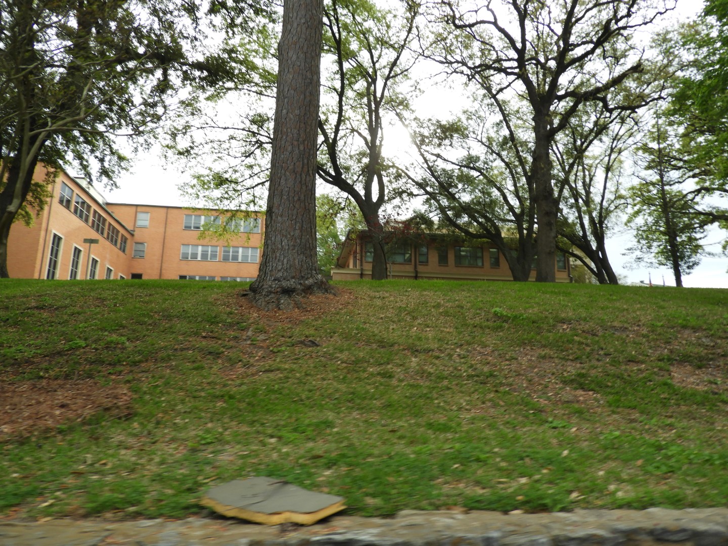 Sam Houston University TX  4 of  9 (#6790)