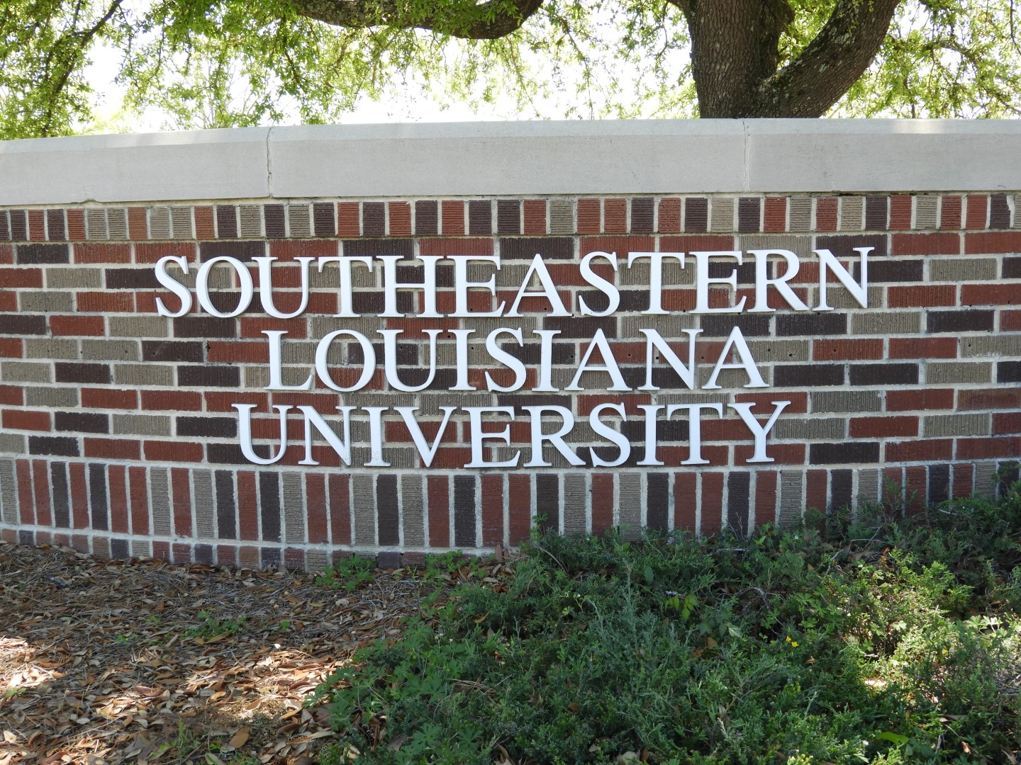 Southeast Louisiana University LA 1 of  6 (#6842)