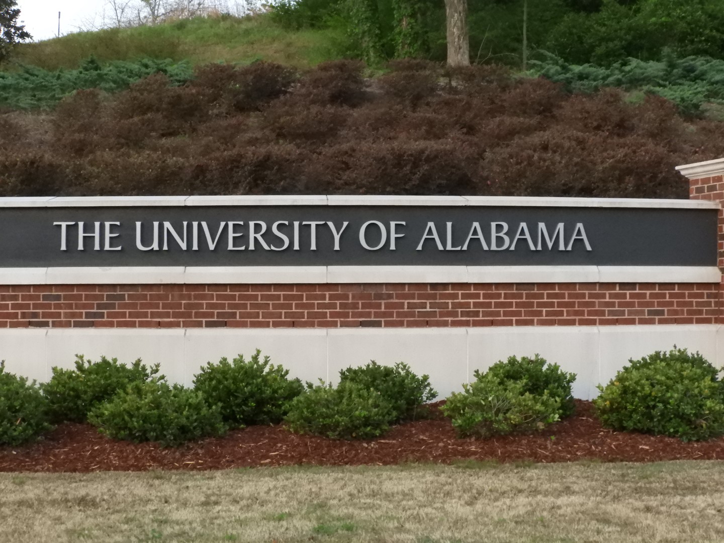 University of Alabama AL 1 of  4 (#6866)