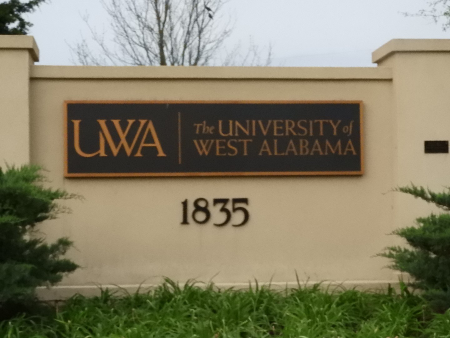 West Alabama University AL 2 of  7 (#6873)