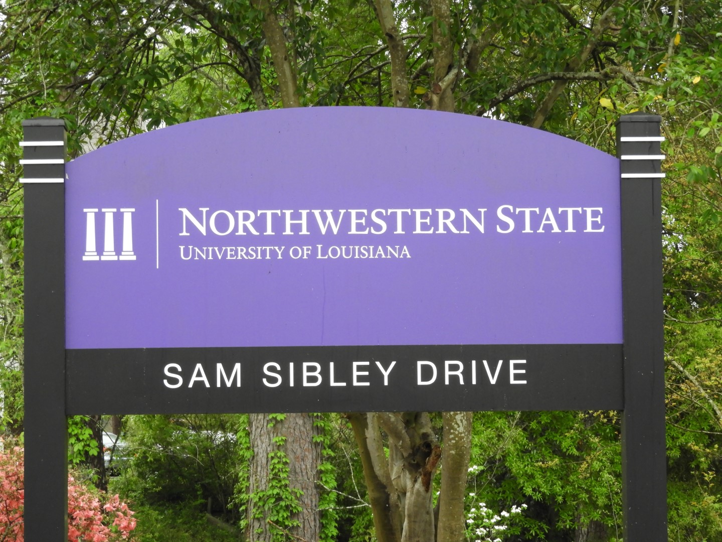 Northwestern Louisiana State University 1 of  8 (#6882)