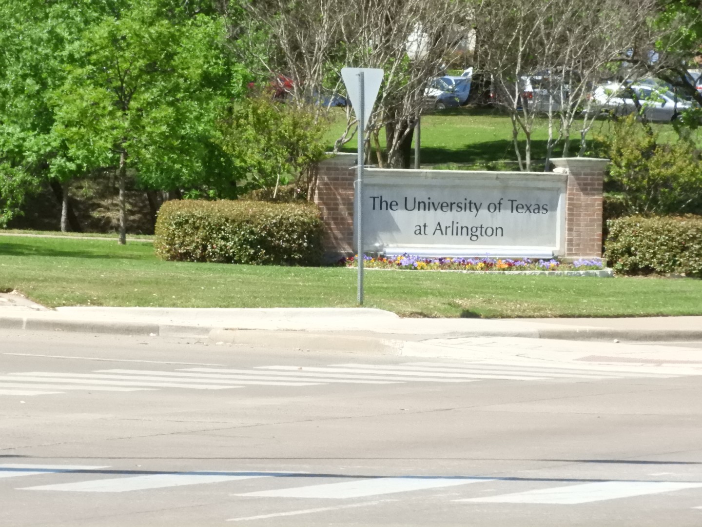 University of Texas-Arlington TX 2 of  7 (#6903)