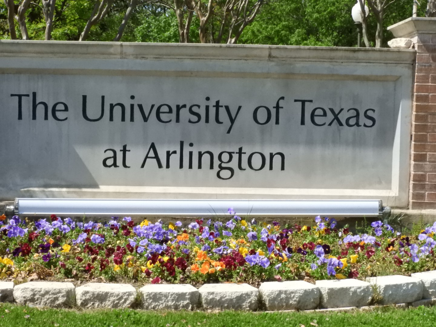 University of Texas-Arlington TX 4 of  7 (#6905)
