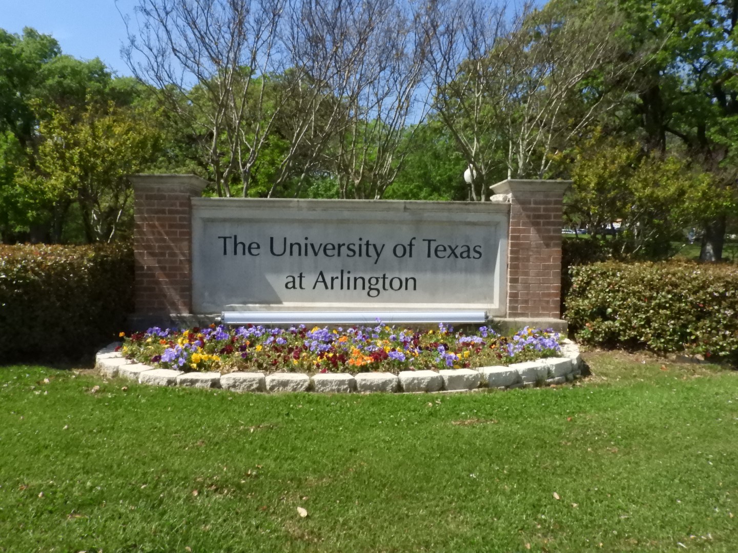 University of Texas-Arlington TX 5 of  7 (#6906)