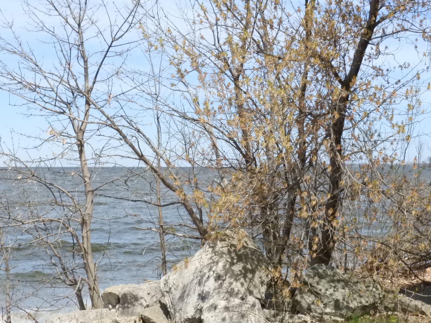 Lake Michigan near University of Wisconsin Green Bay WI  3 of  5 (#7840)