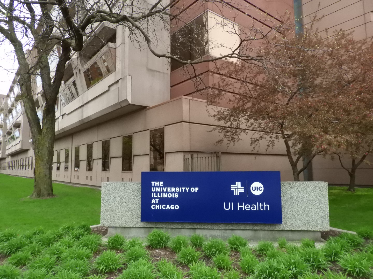 Chicago IL  3 of  3 (#7845)