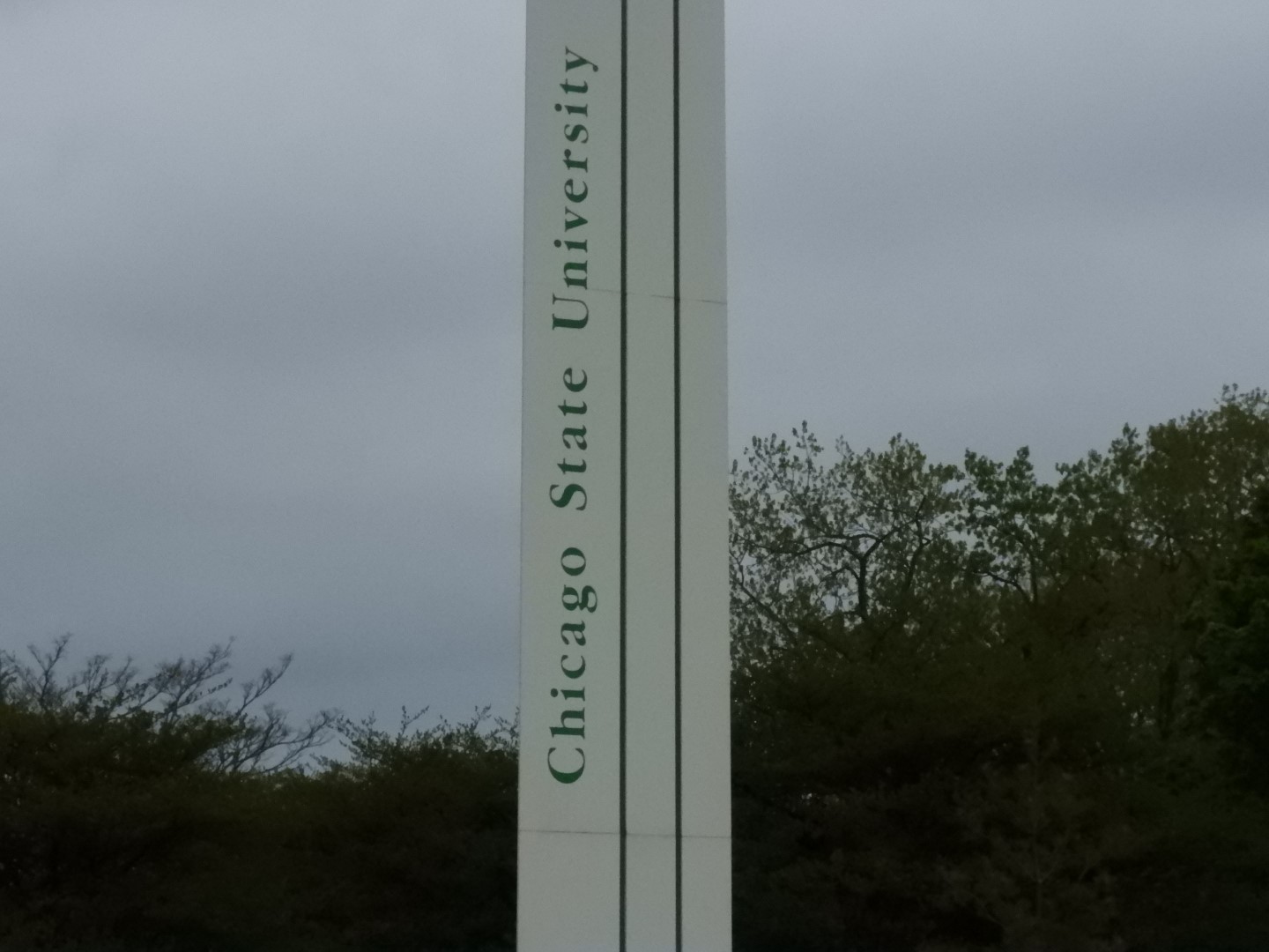 Chicago IL  1 of  5 (#7846)