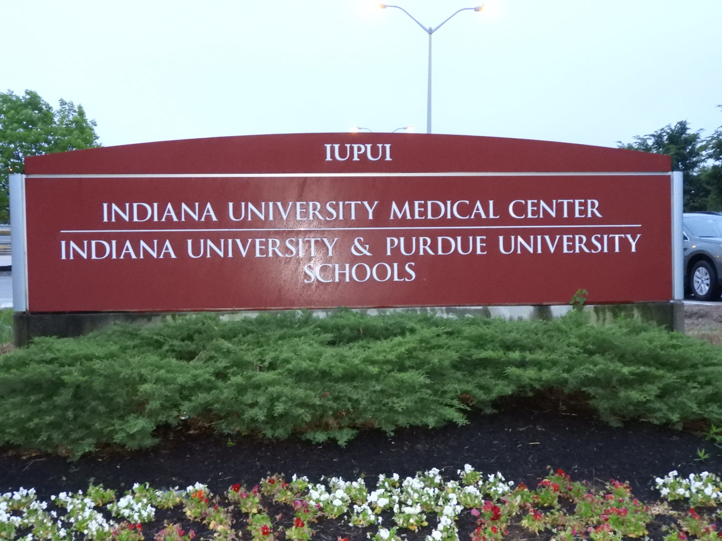 Indiana University-Purdue University Indianapolis IN 1 of  5 (#7851)