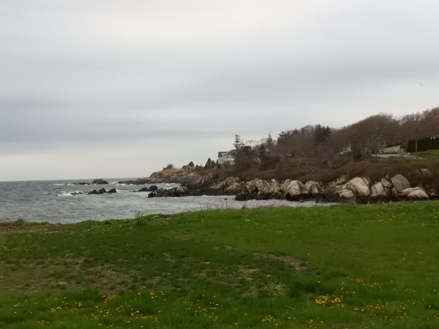 Maine Coast near Bush Compound  1 of 14 (#8129)