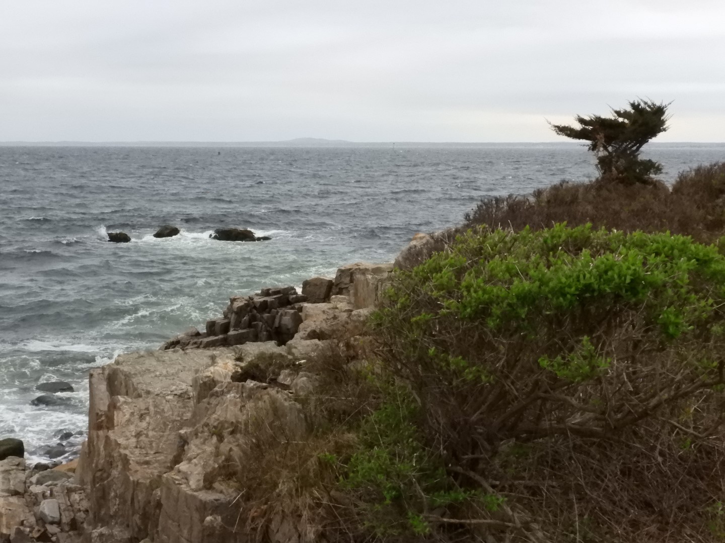 Maine Coast near Bush Compound  6 of 14 (#8136)