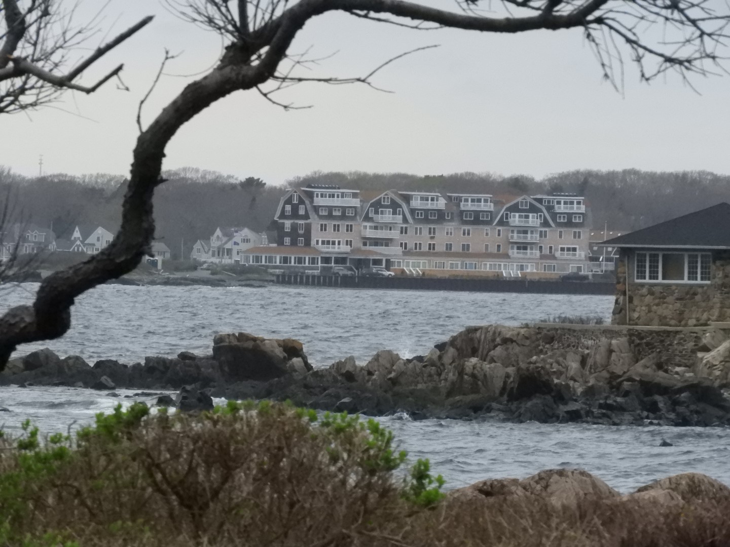 Maine Coast near Bush Compound 13 of 14 (#8143)