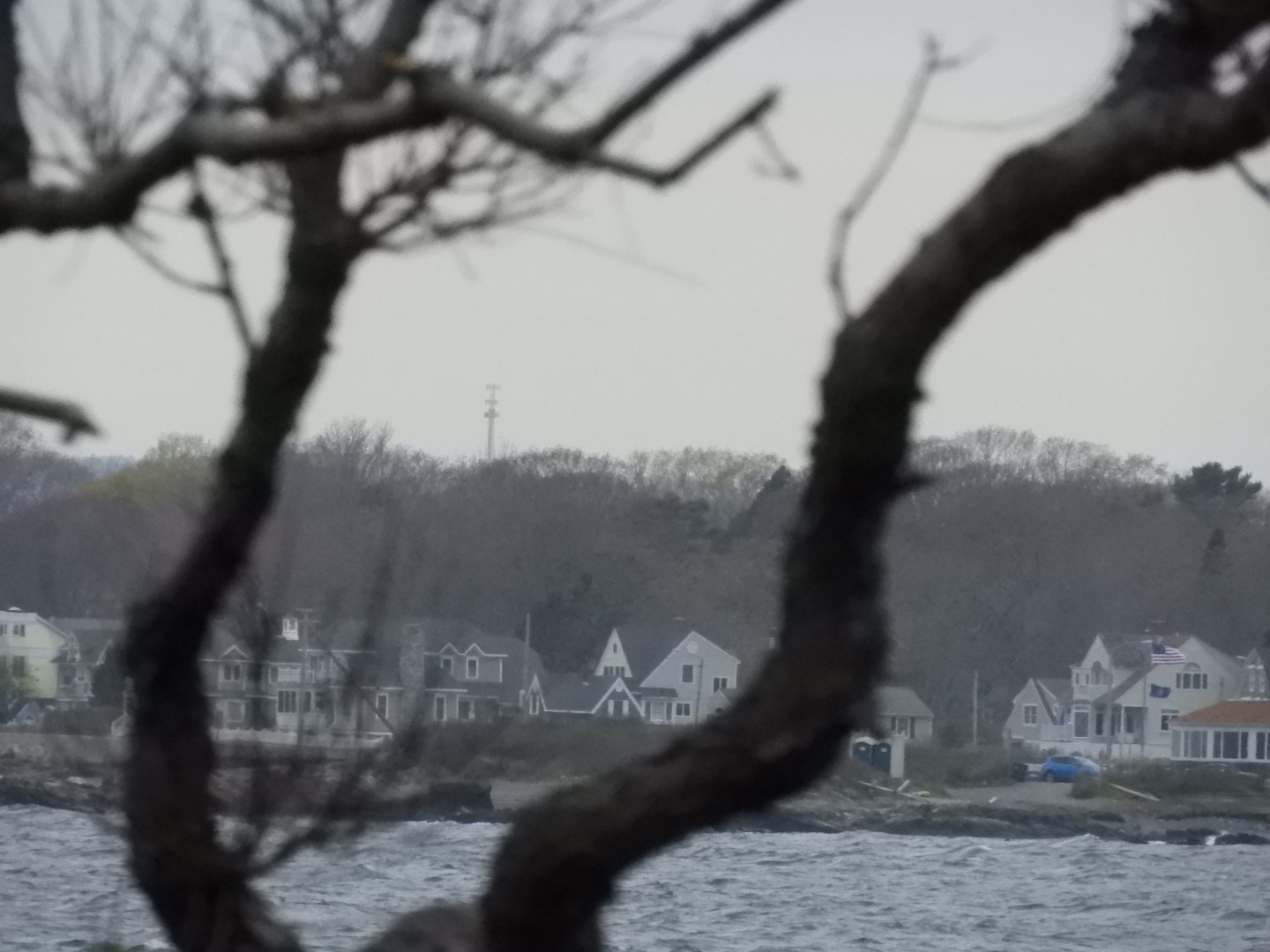 Maine Coast near Bush Compound 14 of 14 (#8144)