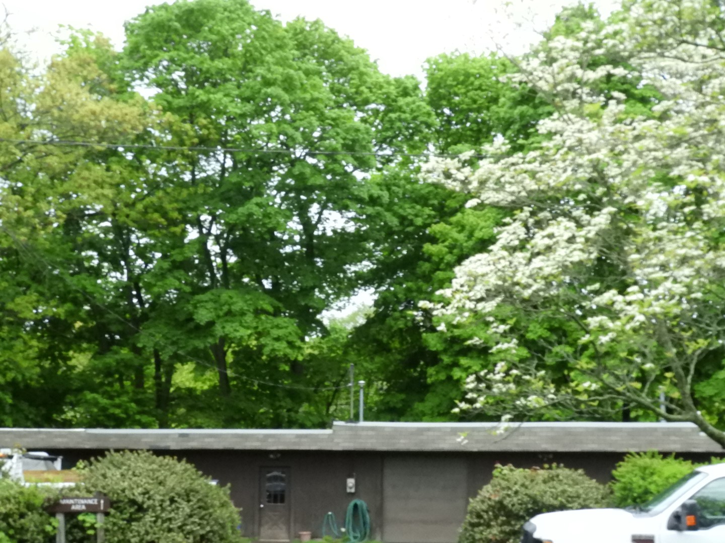 Saugus Iron Works NHS  2 of  5 (#8158)