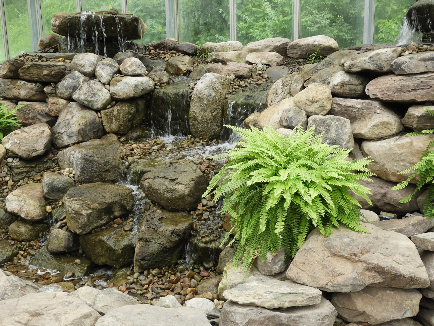 The humid Buttlerfly House  3 of  7 (#8370)