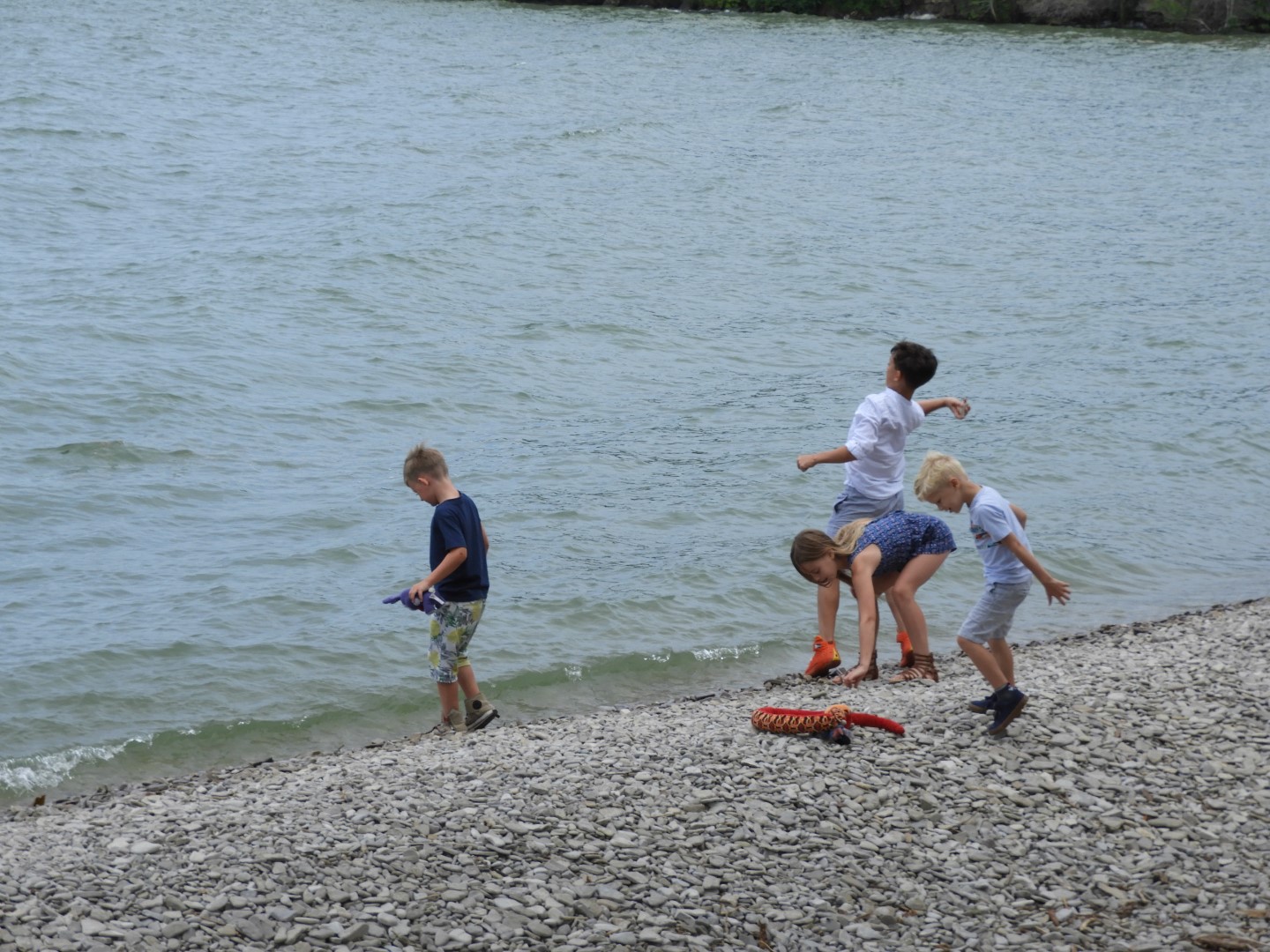 South Bass Island State Park 2 of 15 (#8385)