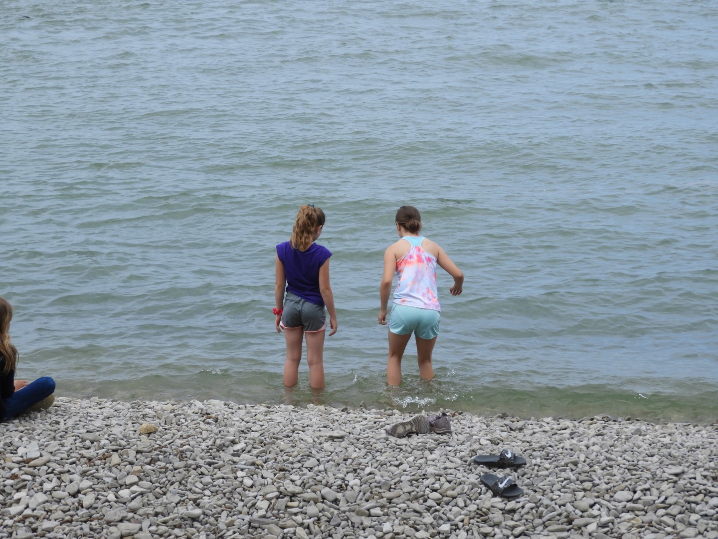 South Bass Island State Park 3 of 15 (#8386)