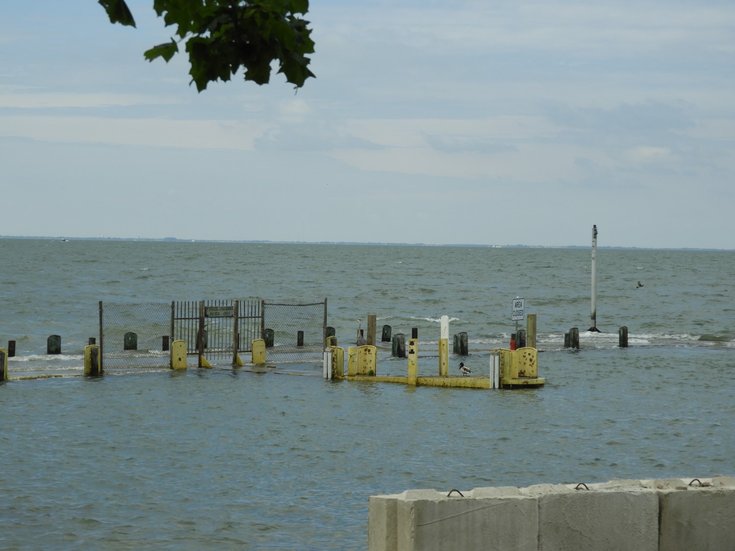 South Bass Island State Park 5 of 15 (#8388)