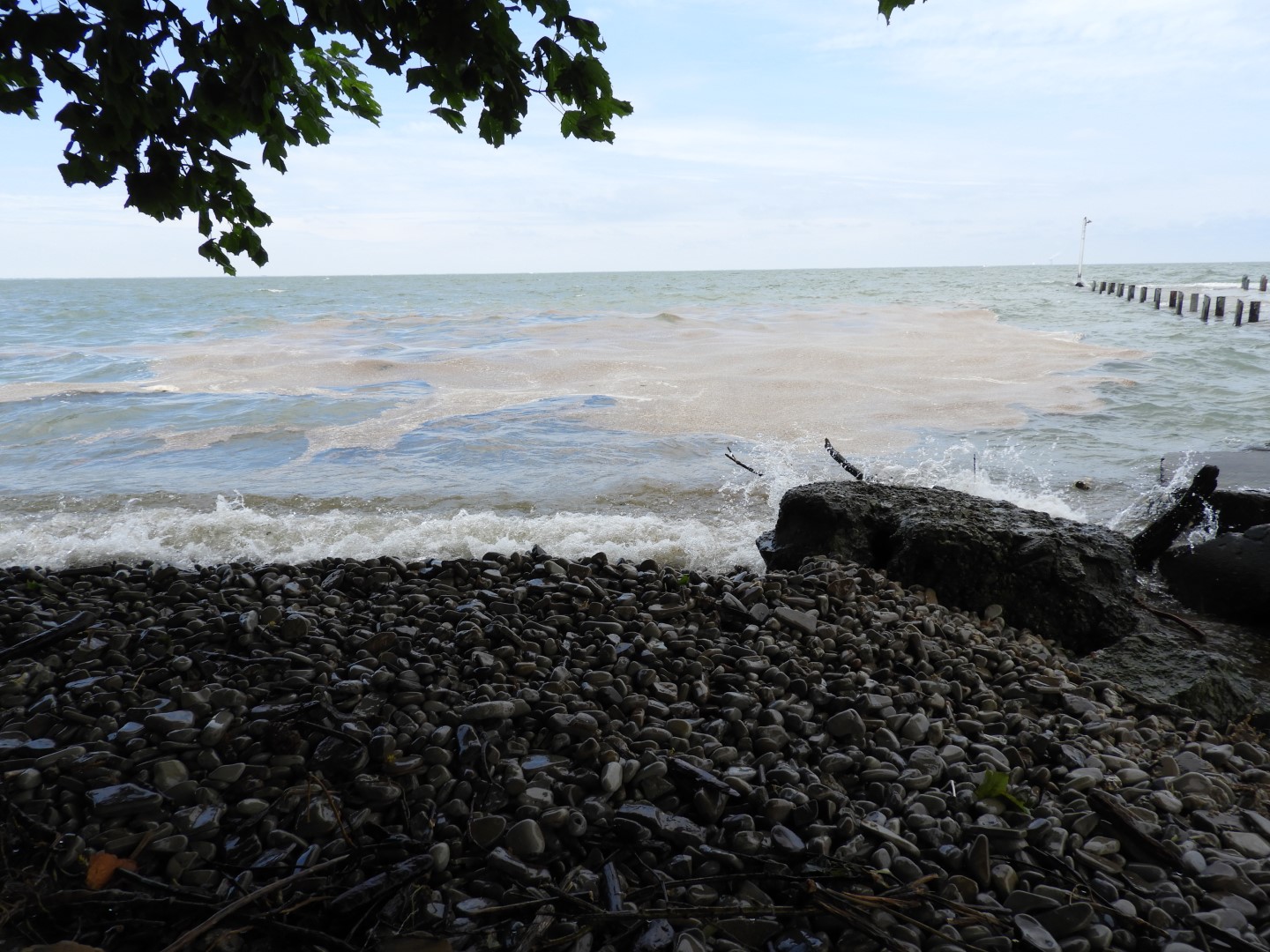 South Bass Island State Park 9 of 15 (#8392)
