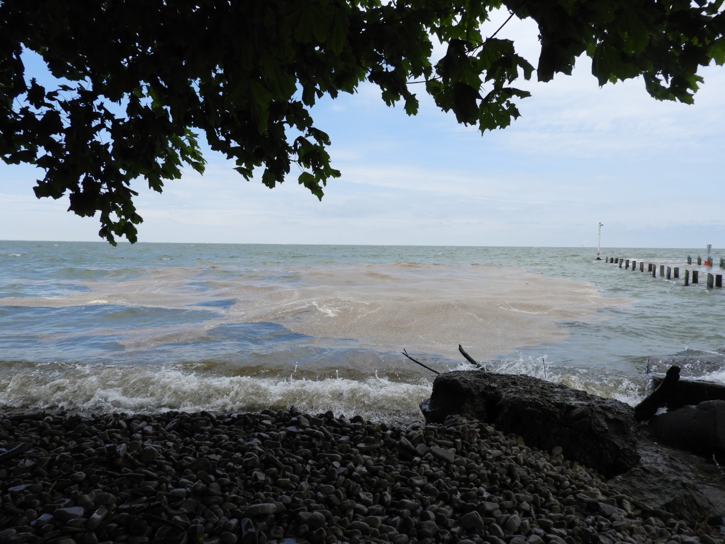 South Bass Island State Park 10 of 15 (#8393)