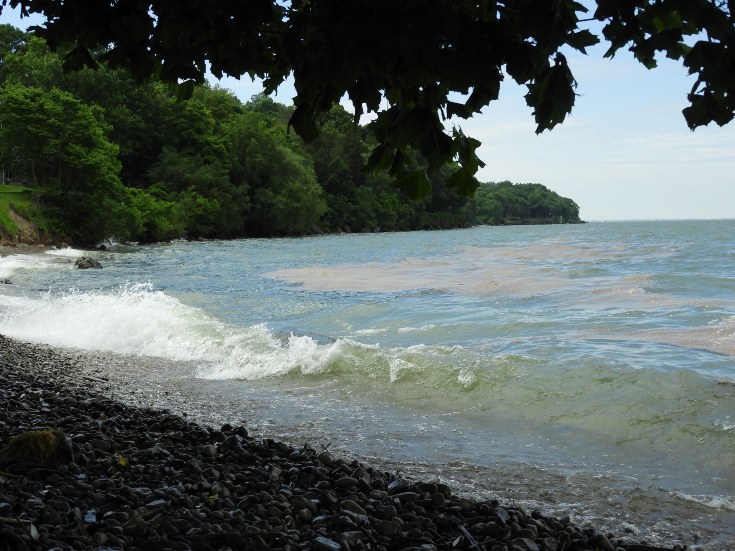 South Bass Island State Park 15 of 15 (#8398)