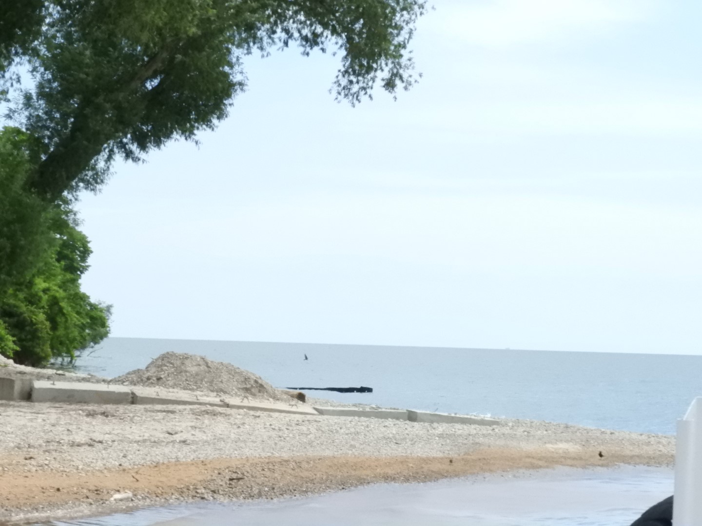 Miller Ferry Ride returning from the Island 11 of 17 (#8414)