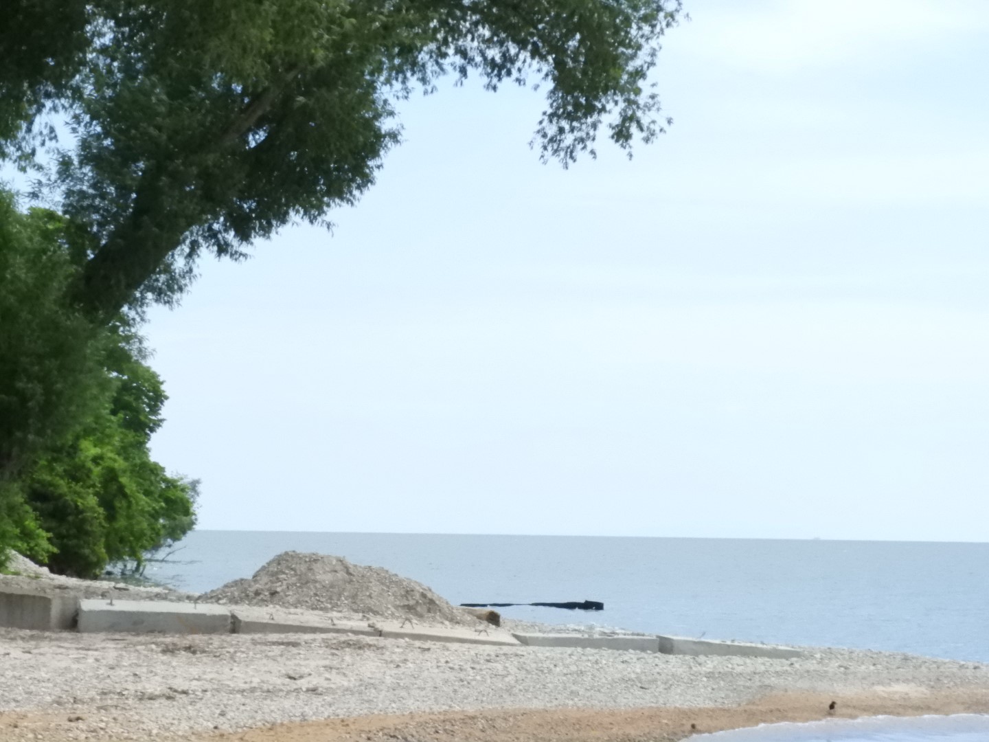 Miller Ferry Ride returning from the Island 12 of 17 (#8415)