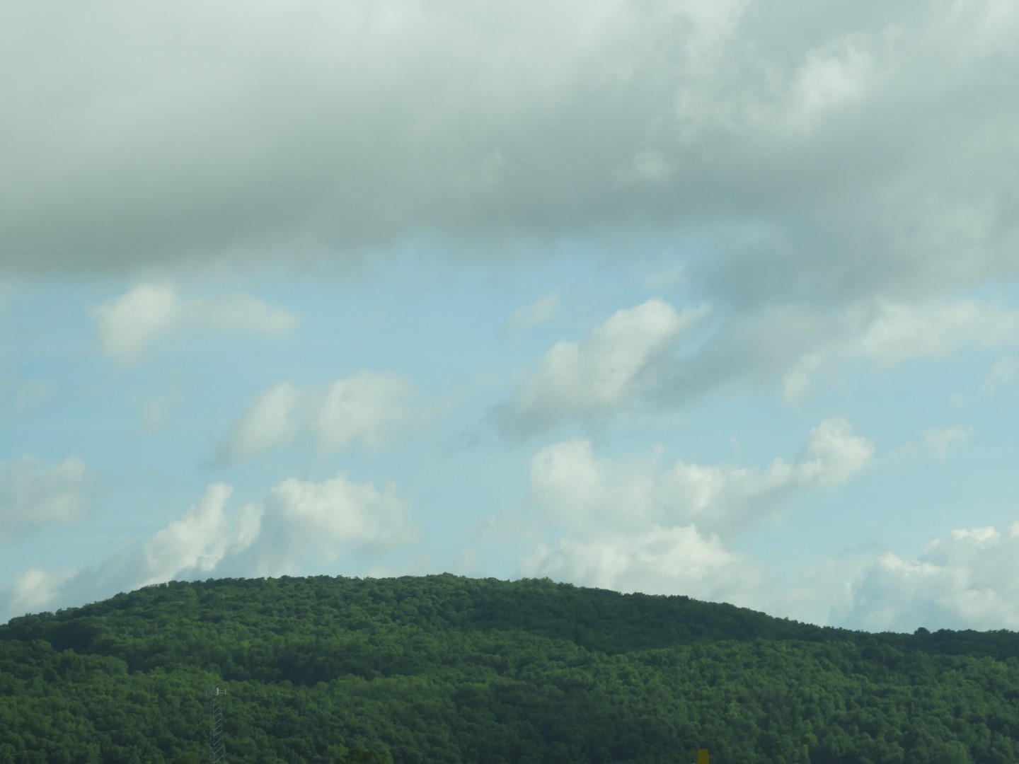 Highway between Allegany and Binghamton NY 5 of  9 (#8450)