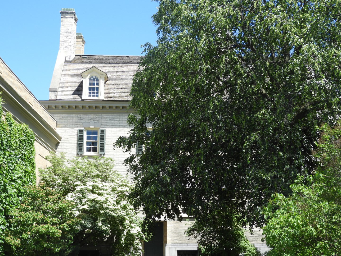 George Eastman House NY 4 of 16 (#8465)