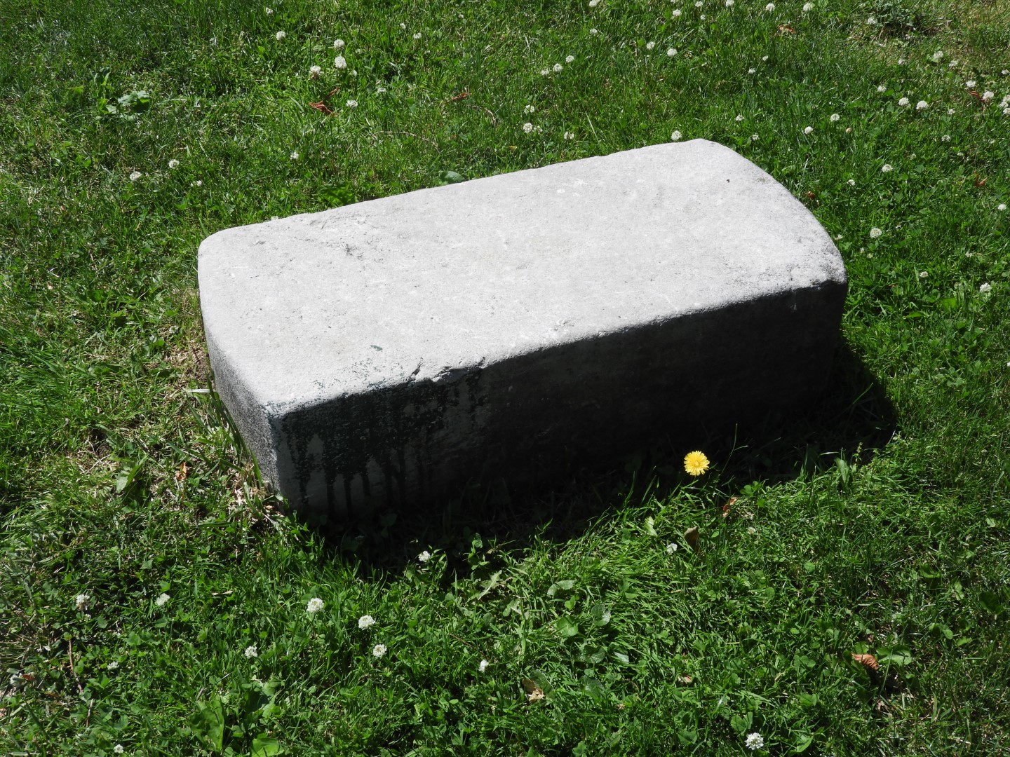 Susan B. Anthony House NY 3 of 12 (#8481)