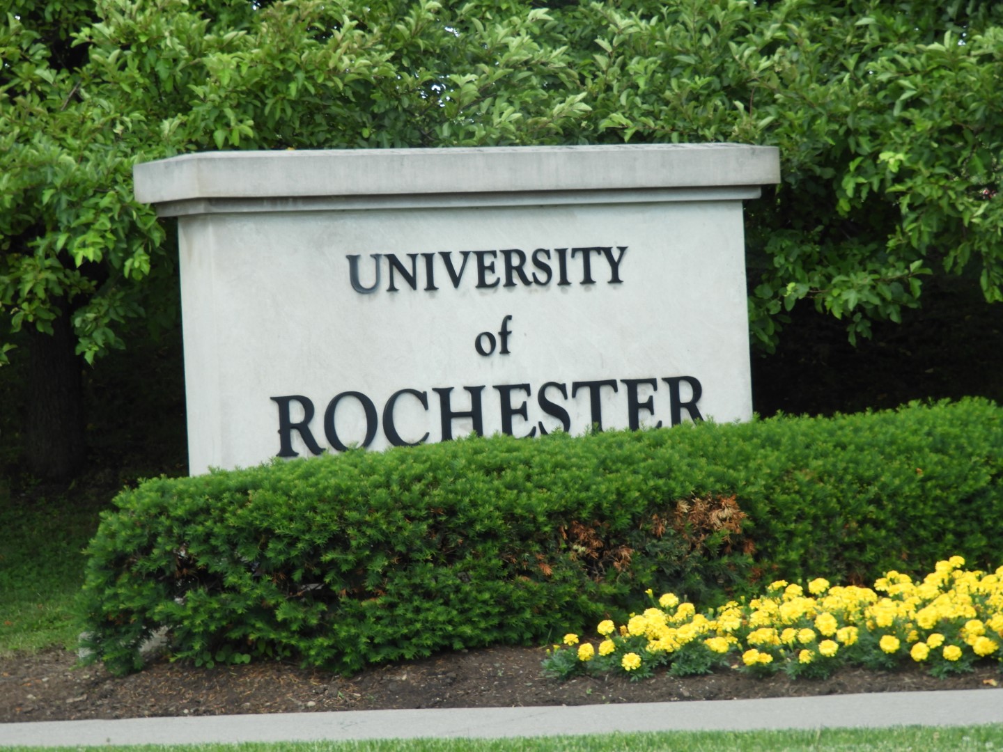 Rochester University NY 3 of  5 (#8494)
