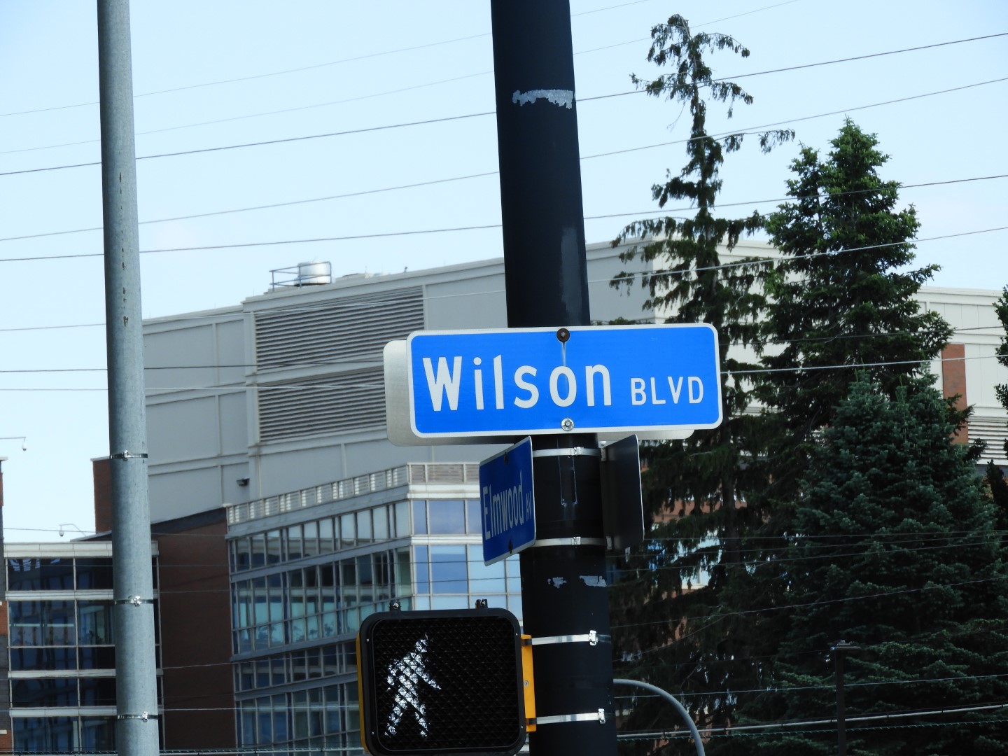 Rochester University NY 4 of  5 (#8495)