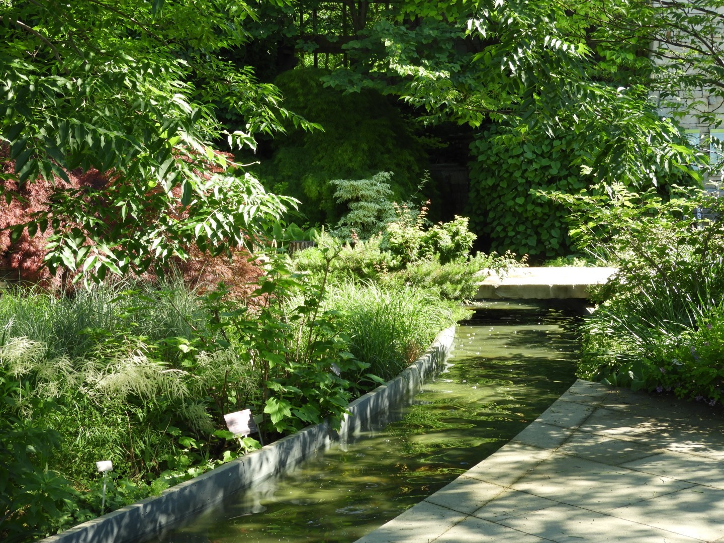 Flowers and trees at Edwards Garden-Toronto Botanical Garden ON 1 of 28 (#8514)