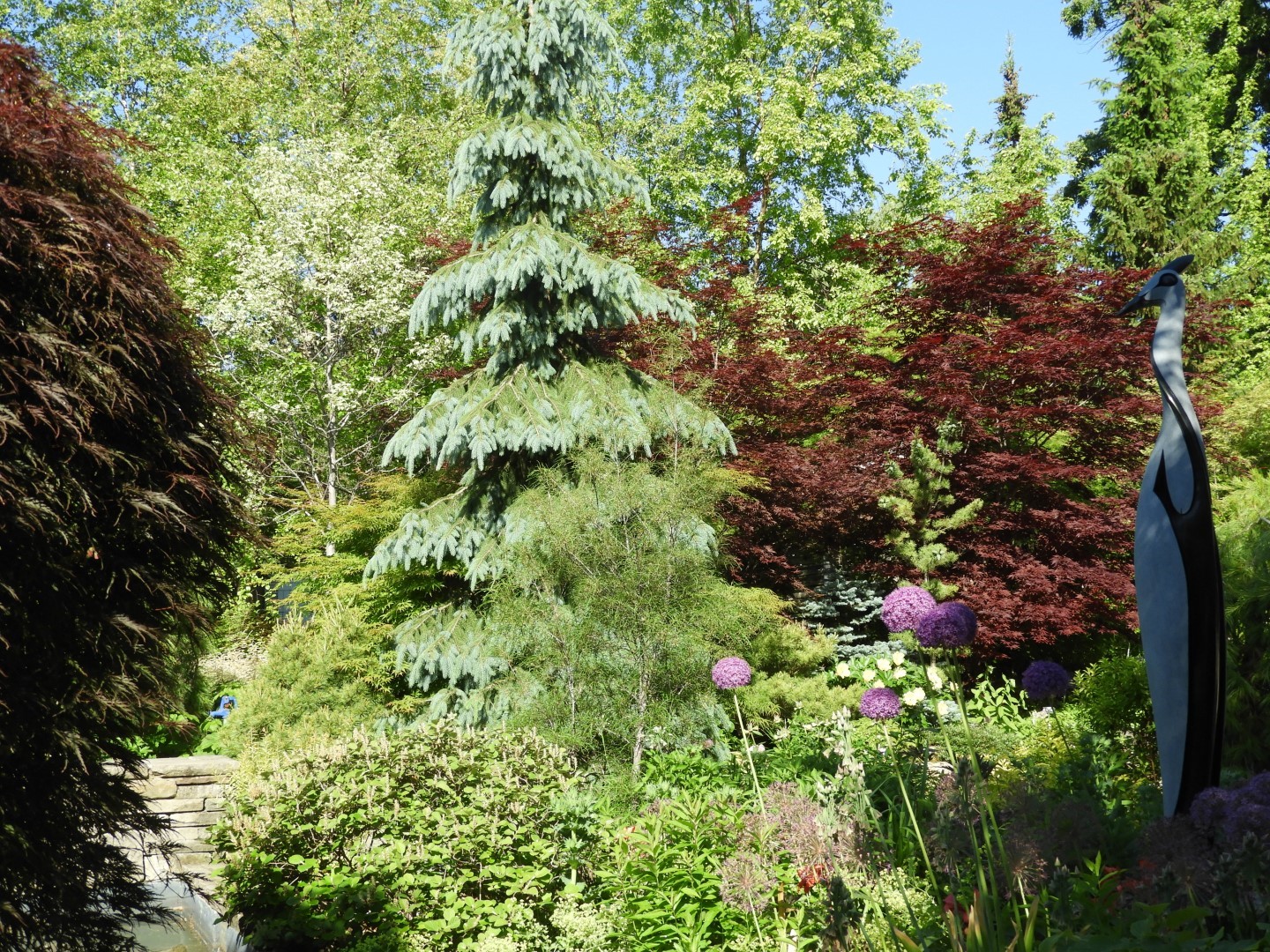 Flowers and trees at Edwards Garden-Toronto Botanical Garden ON 3 of 28 (#8516)