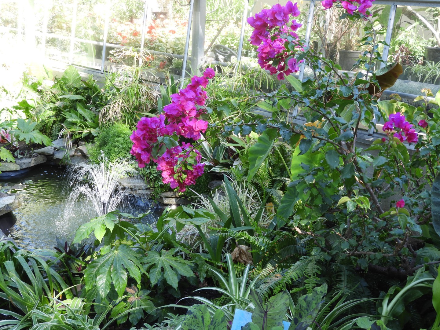 Flowers and trees at Edwards Garden-Toronto Botanical Garden ON 13 of 28 (#8531)