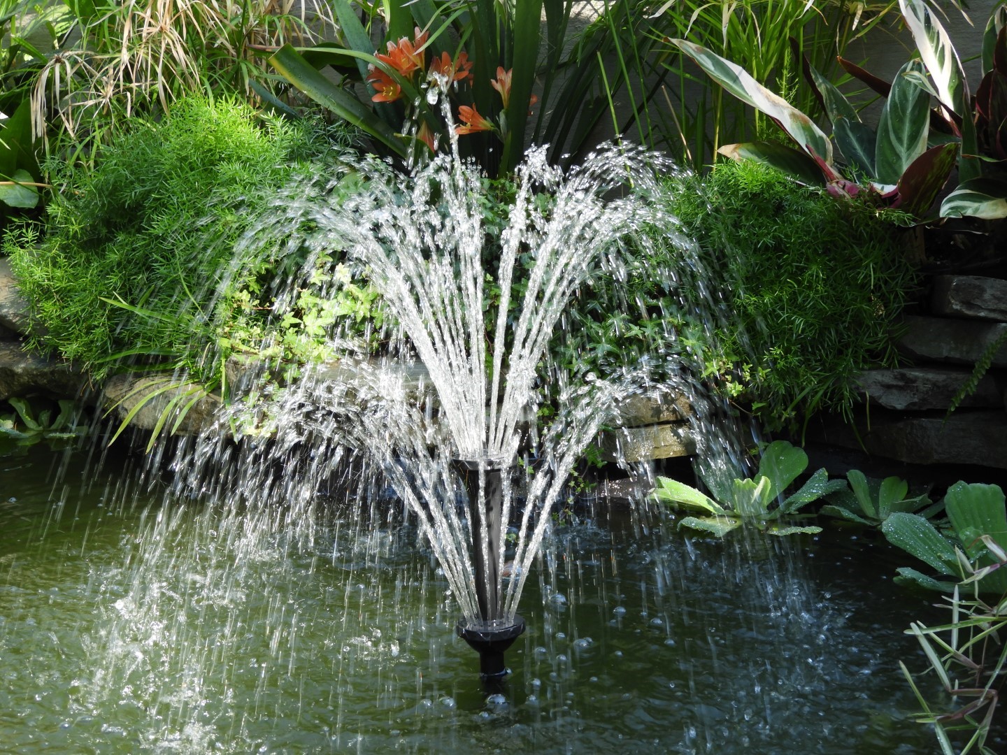 Miscellaneous items at Edwards Garden-Toronto Botanical Garden ON 2 of  7 (#8532)