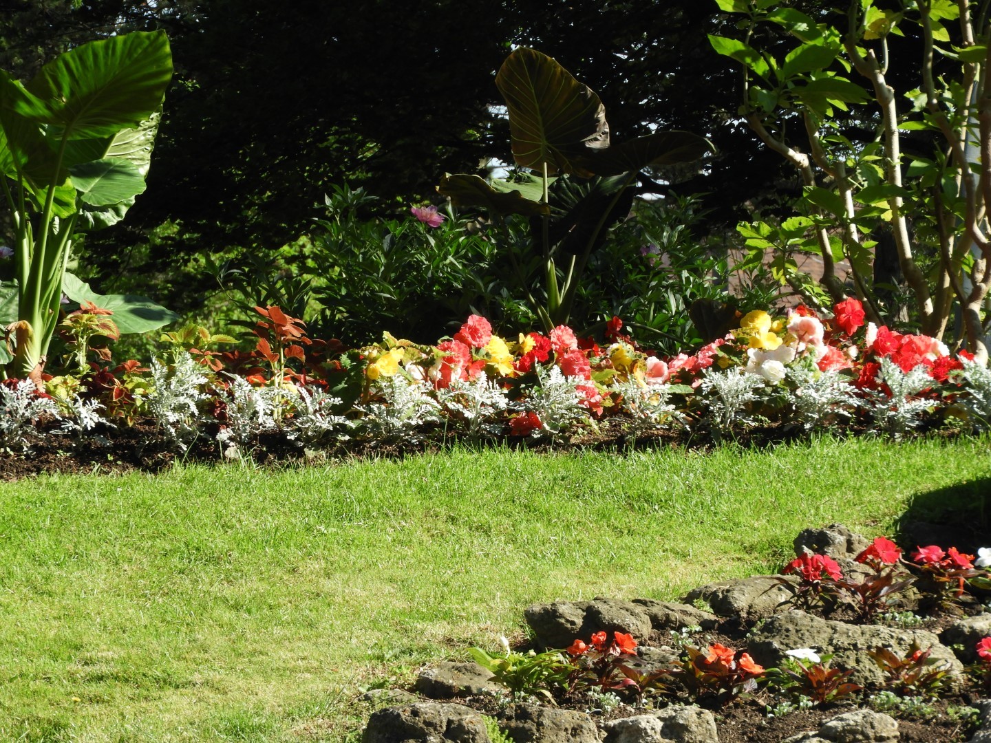Flowers and trees at Edwards Garden-Toronto Botanical Garden ON 14 of 28 (#8533)
