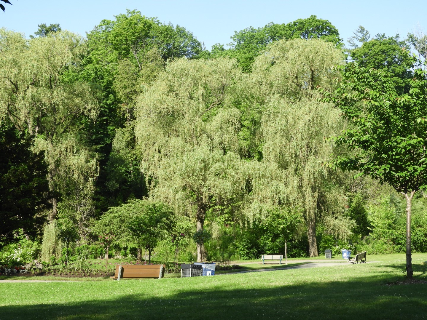 Flowers and trees at Edwards Garden-Toronto Botanical Garden ON 15 of 28 (#8535)