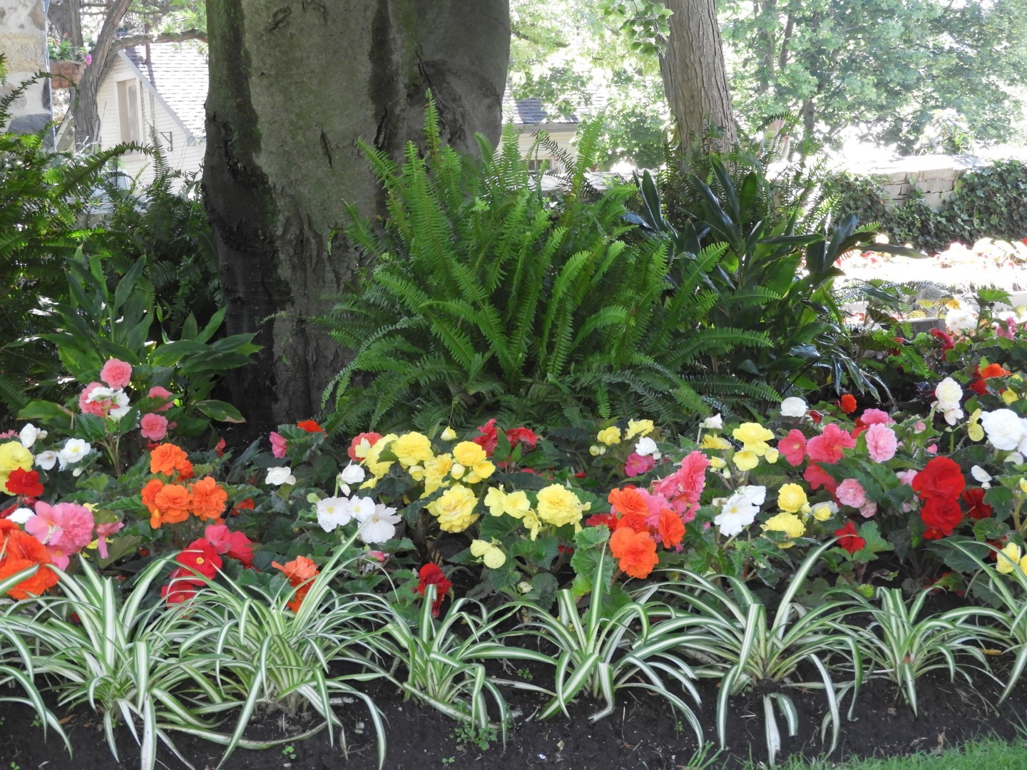 Flowers and trees at Edwards Garden-Toronto Botanical Garden ON 17 of 28 (#8540)
