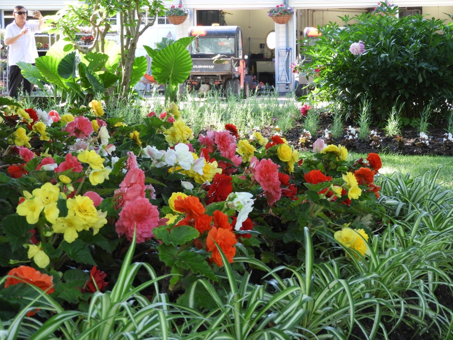 Flowers and trees at Edwards Garden-Toronto Botanical Garden ON 21 of 28 (#8544)