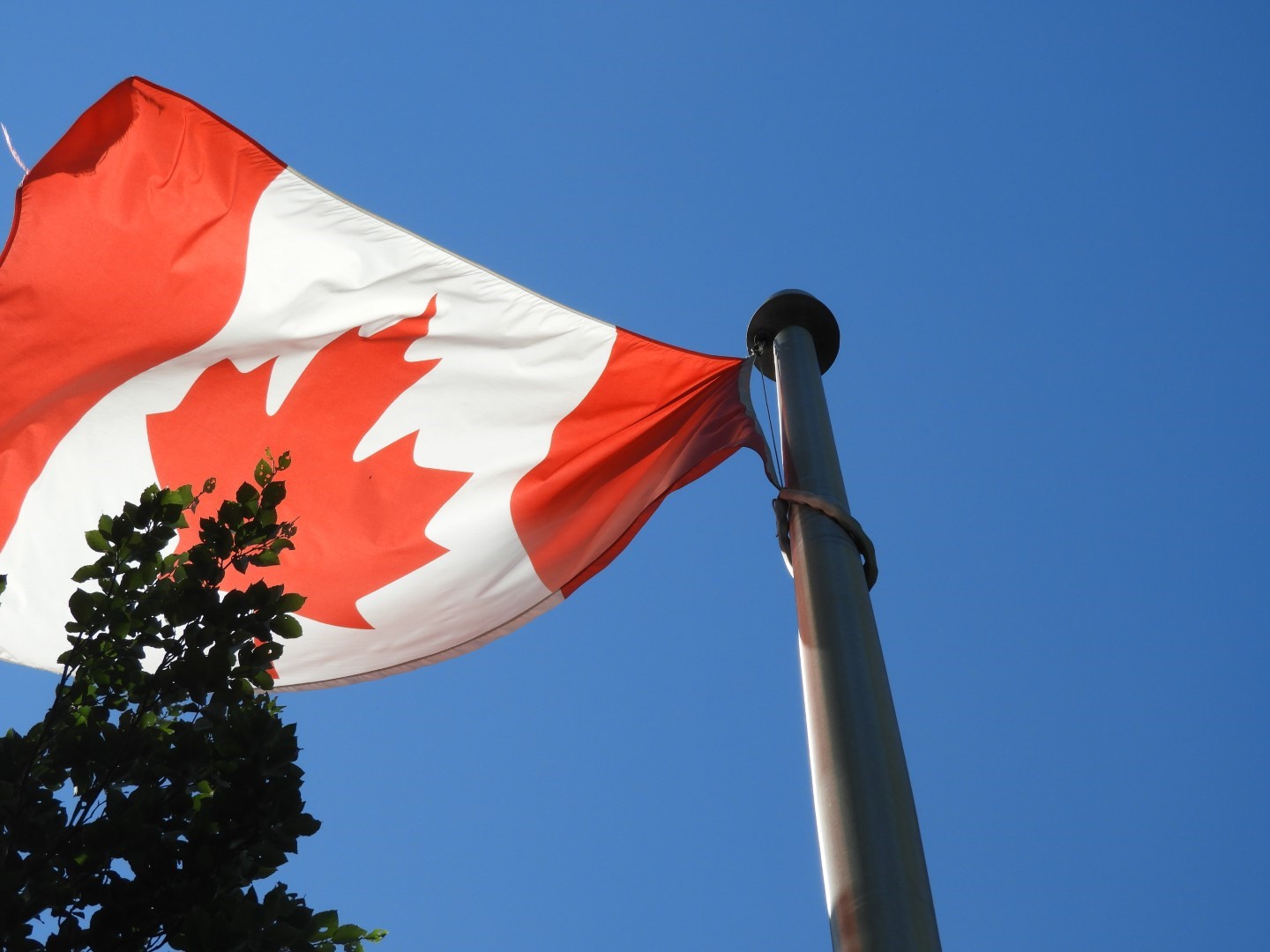 Canadian Flag at Edwards Garden-Toronto Botanical Garden ON 1 of  2 (#8546)