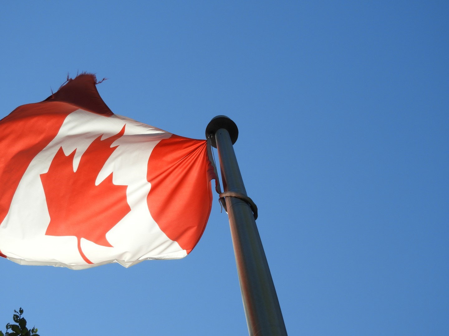 Canadian Flag at Edwards Garden-Toronto Botanical Garden ON 2 of  2 (#8549)