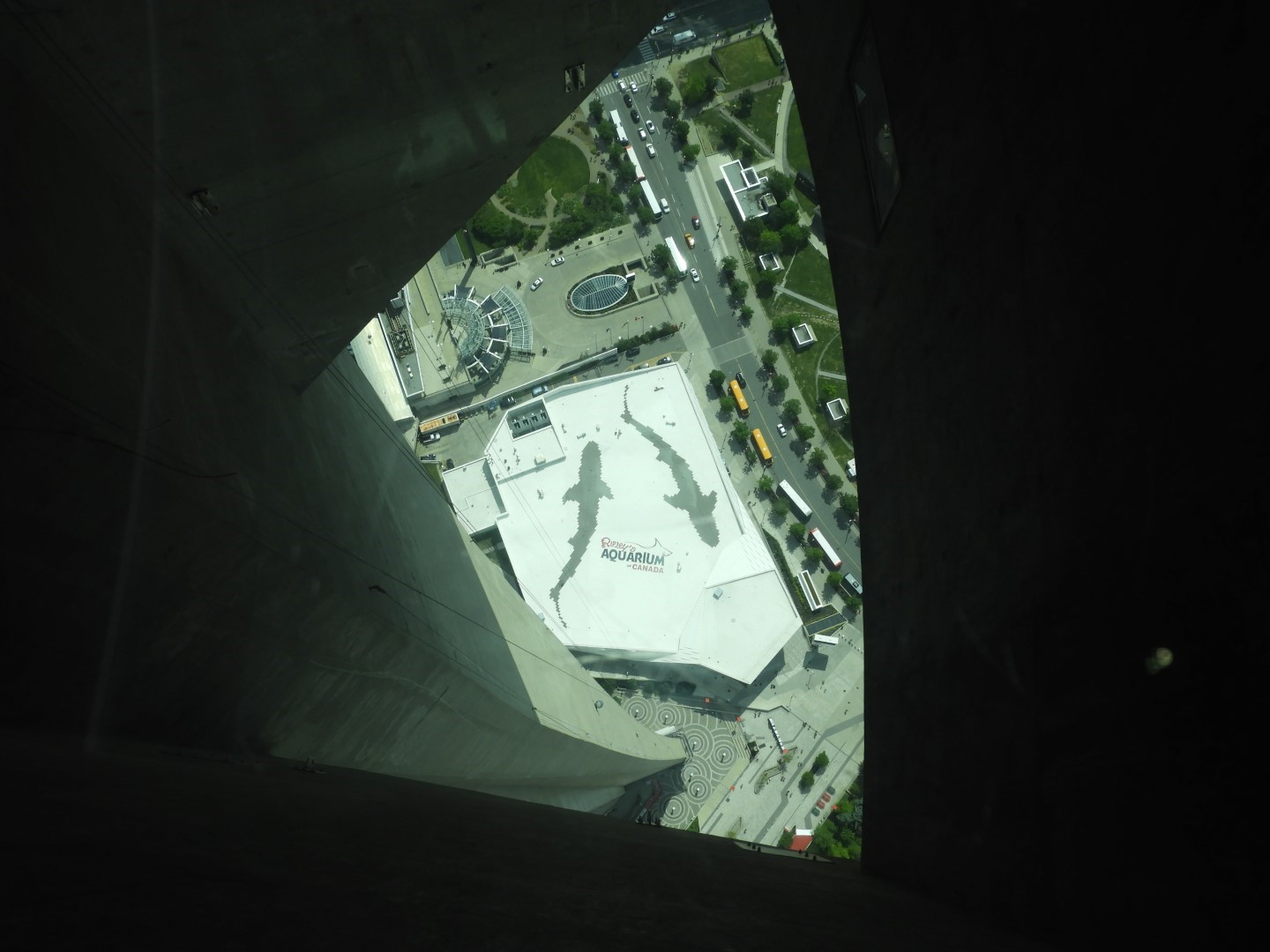 Views from the main level of the CN Tower in downtown Toronto ON 14 of 14 (#8619)