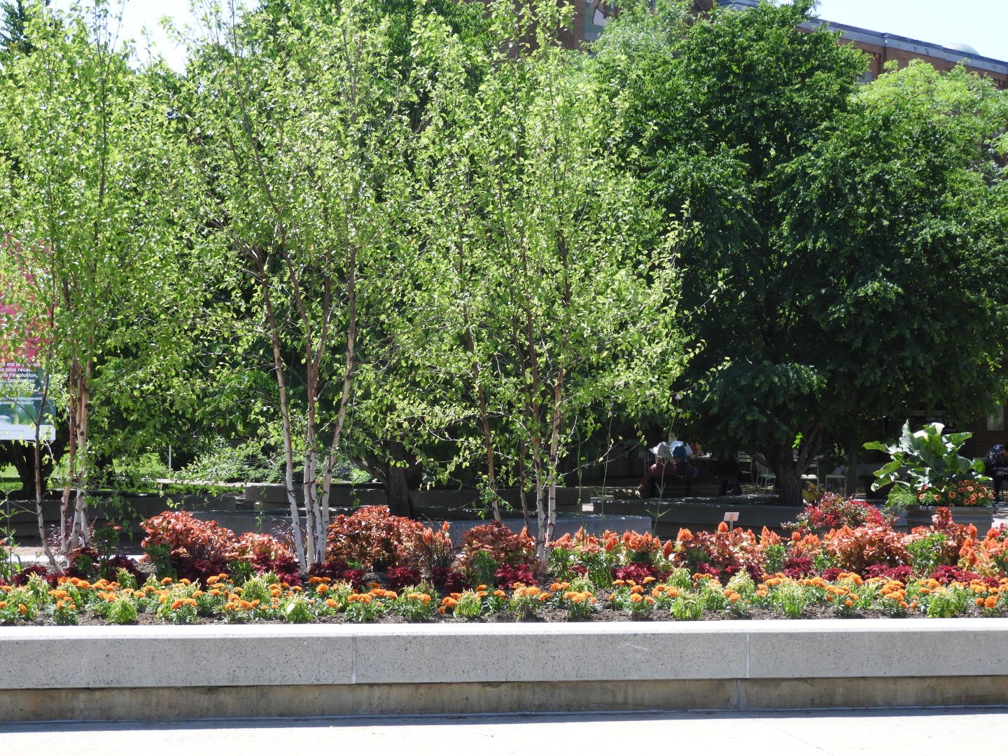 Botanical Garden in Montreal QC 3 of 51 (#8761)