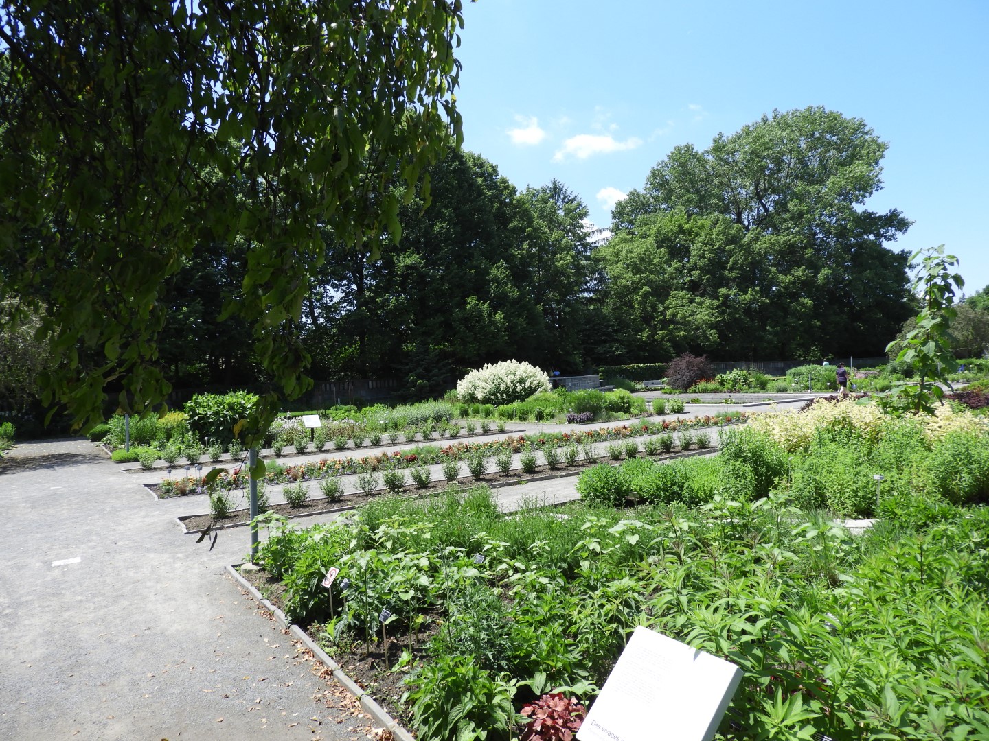 Botanical Garden in Montreal QC 5 of 51 (#8763)