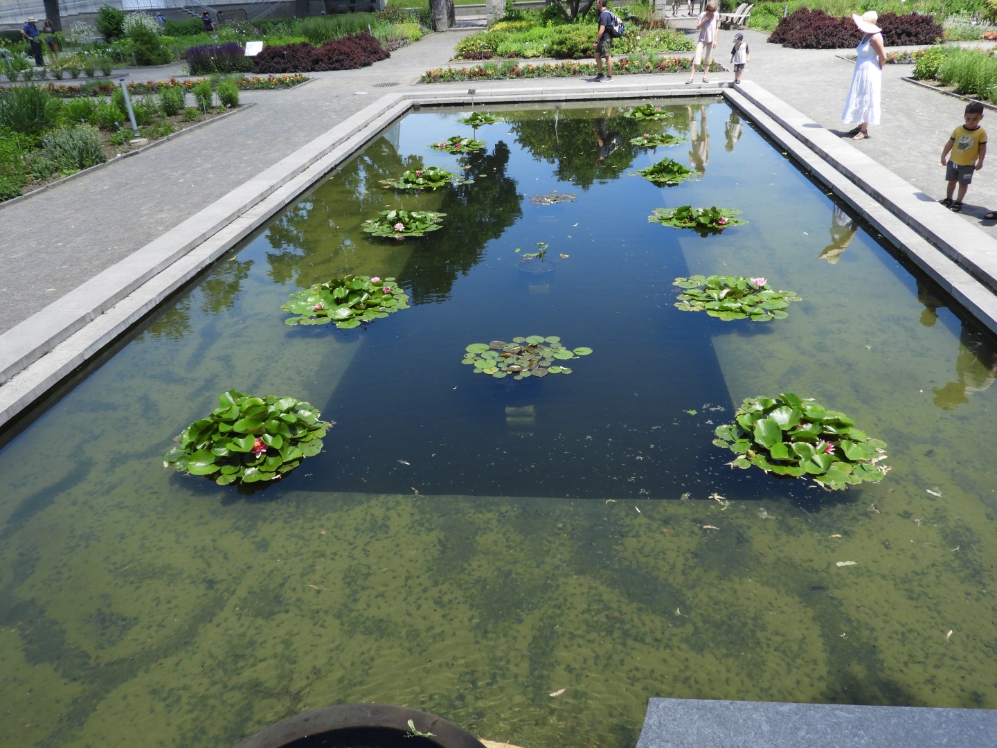 Botanical Garden in Montreal QC 9 of 51 (#8767)