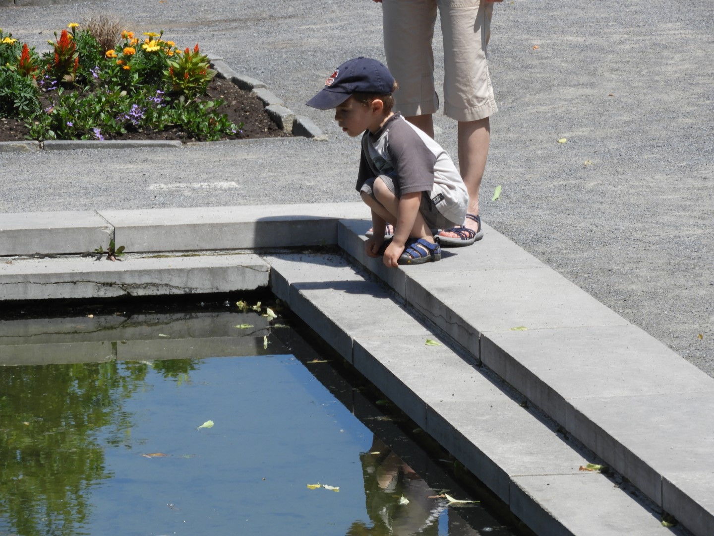 Botanical Garden in Montreal QC 10 of 51 (#8768)