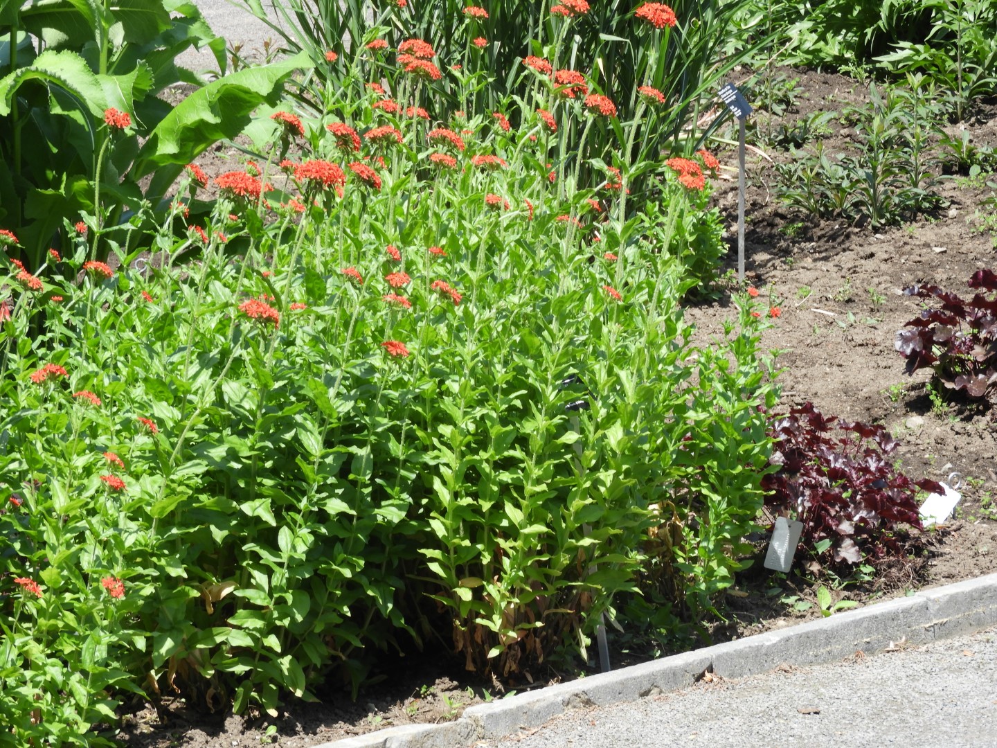 Botanical Garden in Montreal QC 11 of 51 (#8769)